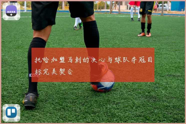 托哈加盟马刺的决心与球队夺冠目标完美契合